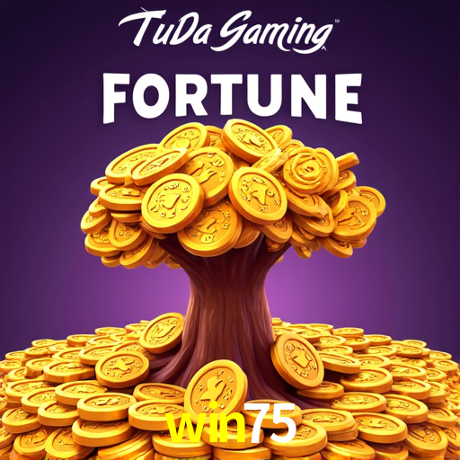 Game Providers win75